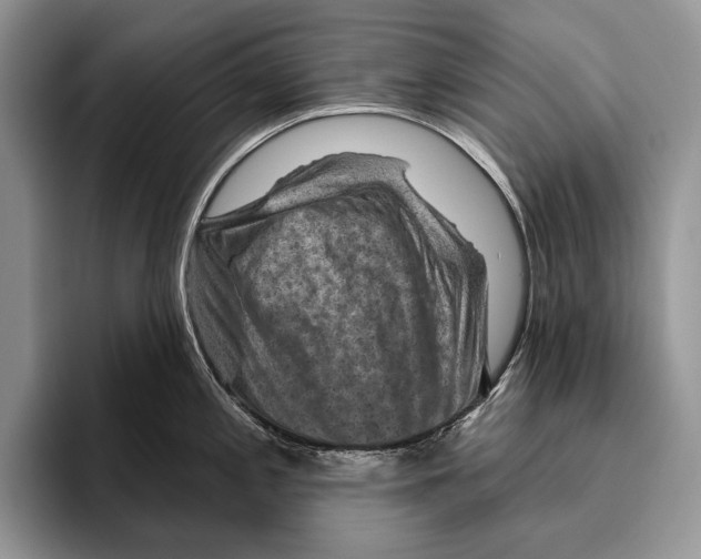 X0000095961197200802081311