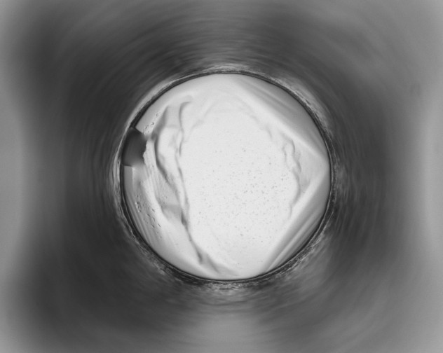 X0000095961198200802081311