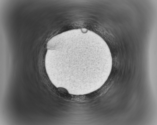 X0000095961201200802081310