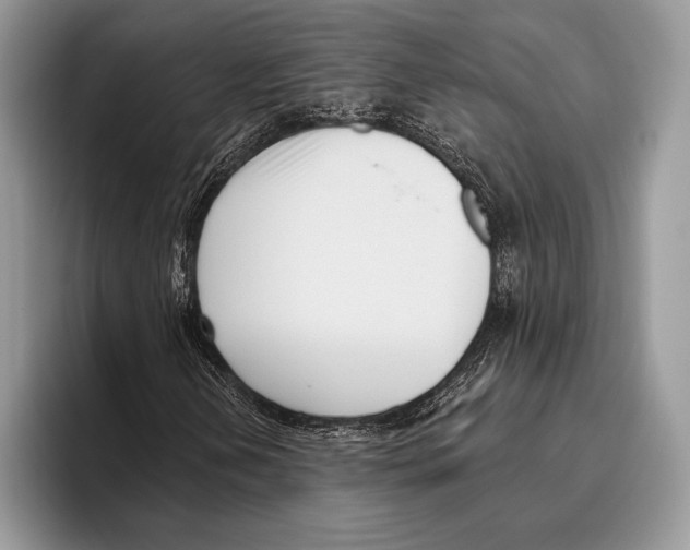 X0000095961202200802081310