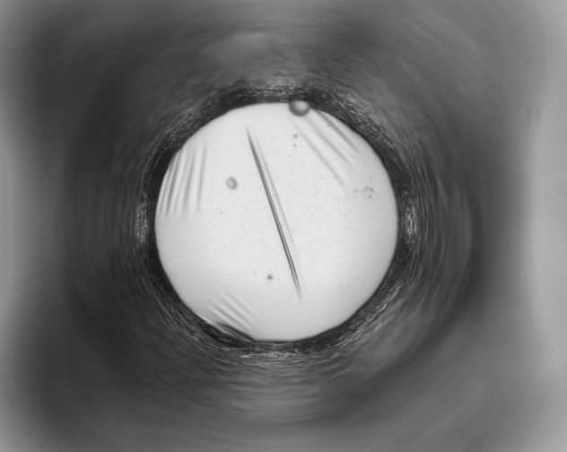 X0000095961204200802081310