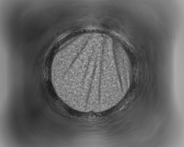 X0000095961207200802081310