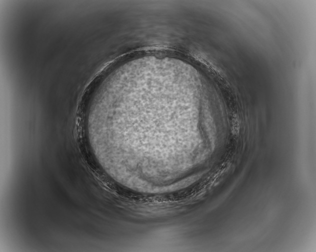 X0000095961208200802081310