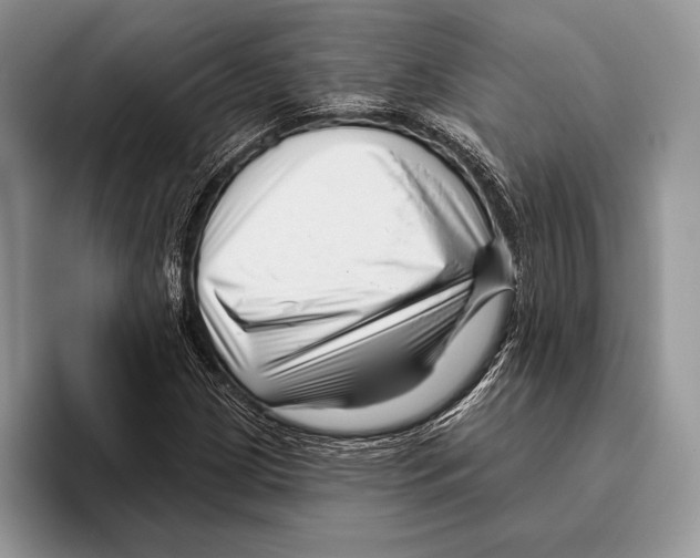 X0000095961209200802081310