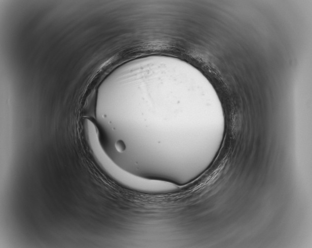 X0000095961210200802081310