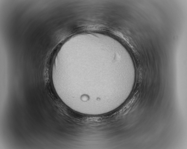 X0000095961211200802081310