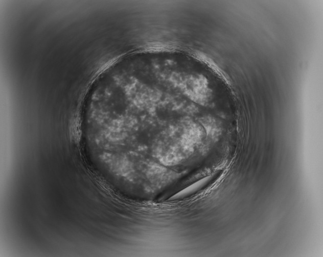 X0000095961213200802081310