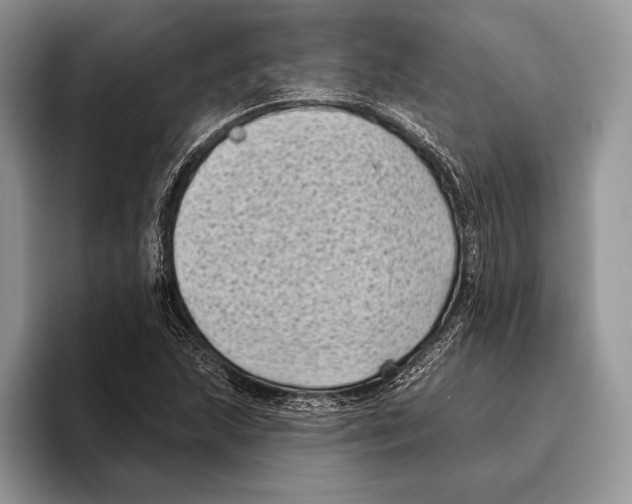 X0000095961215200802081311