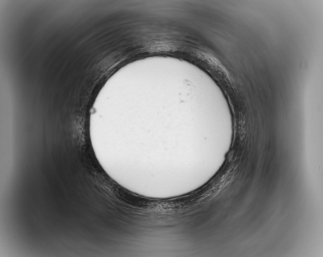 X0000095961217200802081311