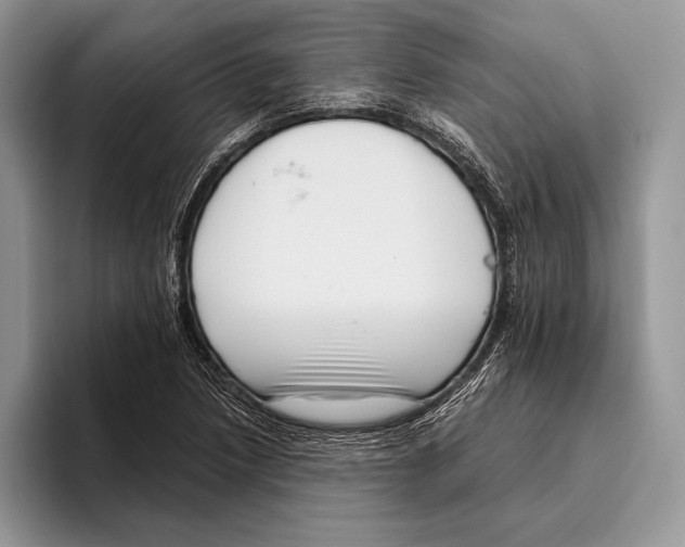 X0000095961218200802081311