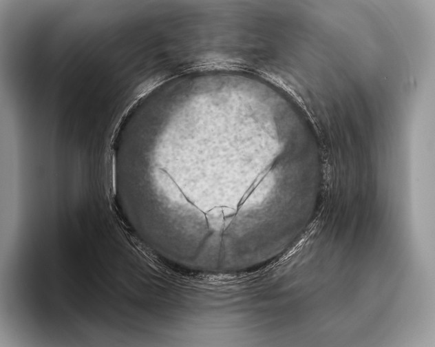 X0000095961219200802081311