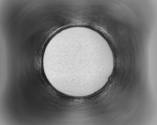 X0000095961220200802081311