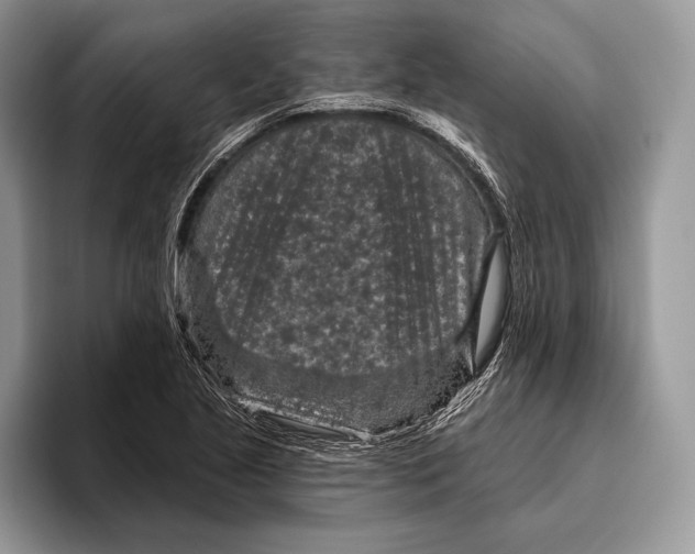 X0000095961221200802081311