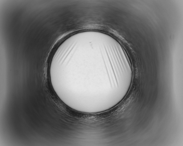 X0000095961222200802081311