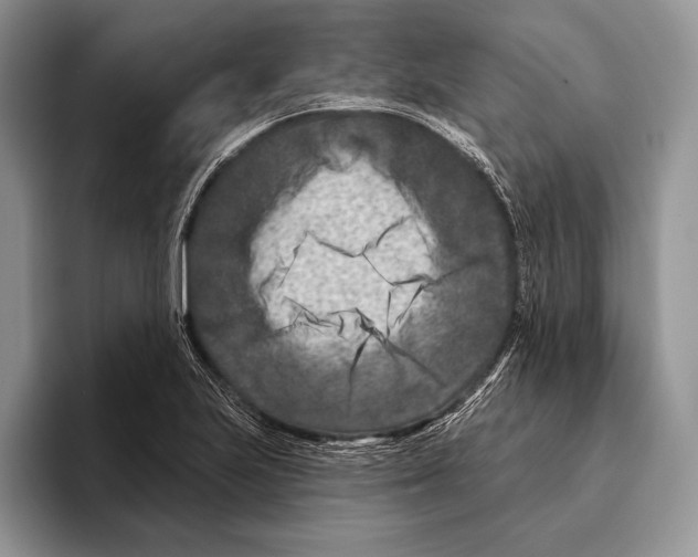 X0000095961223200802081311