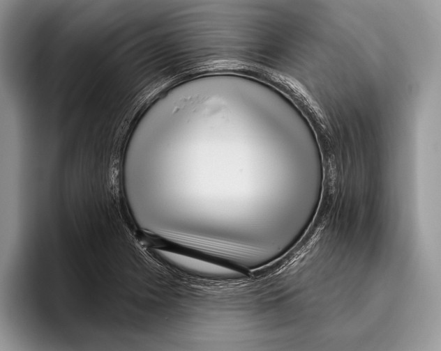 X0000095961225200802081311