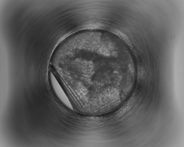 X0000095961226200802081311