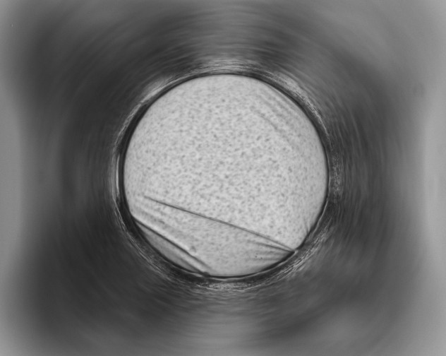 X0000095961227200802081311