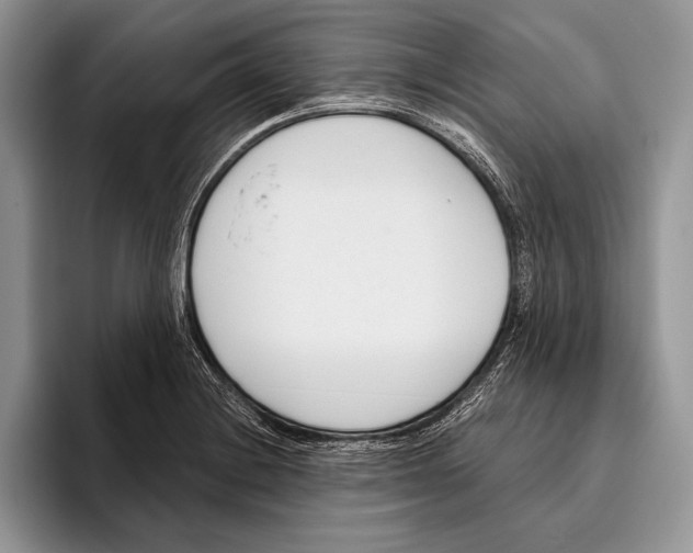 X0000095961228200802081311