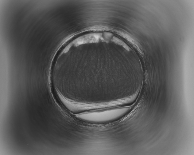 X0000095961229200802081311