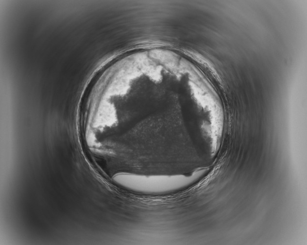 X0000095961231200802081311