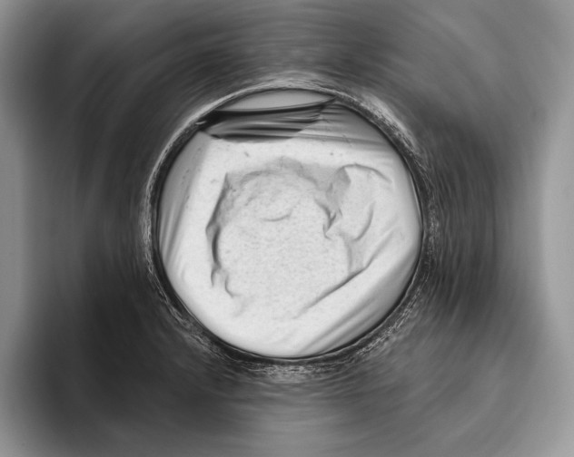 X0000095961232200802081311