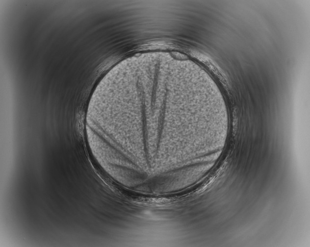 X0000095961233200802081311