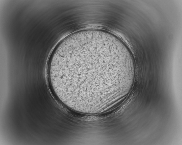 X0000095961235200802081311