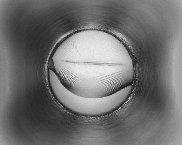 X0000095961238200802081311