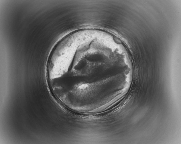 X0000095961239200802081311