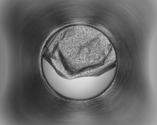 X0000095961240200802081311