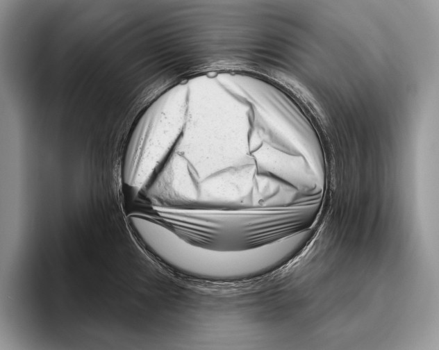 X0000095961241200802081311