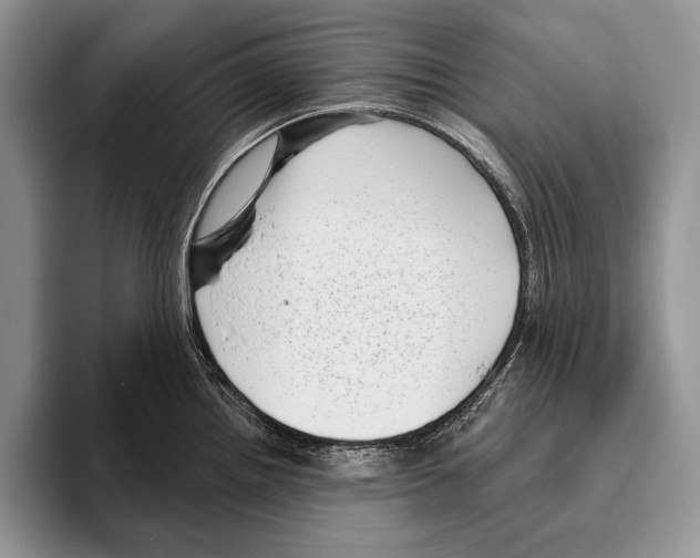 X0000095961242200802081311