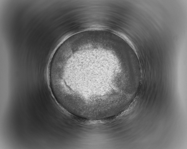 X0000095961243200802081311