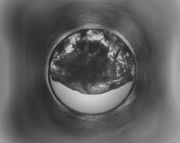 X0000095961245200802081311