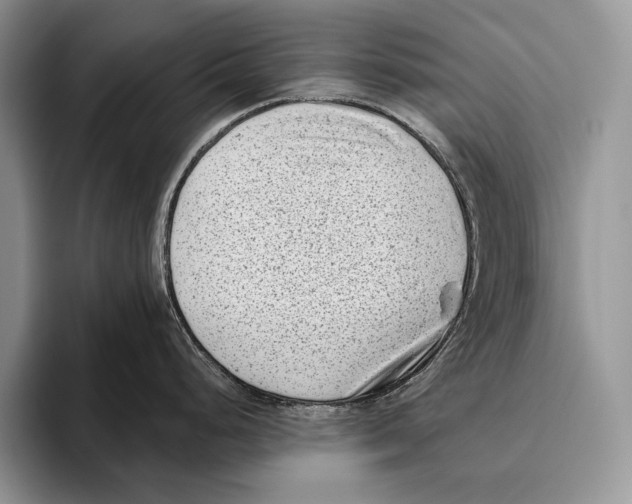 X0000095961248200802081311