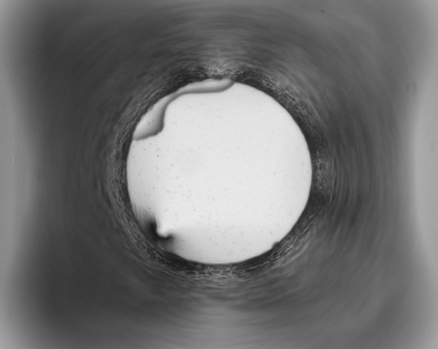 X0000095961249200802081310