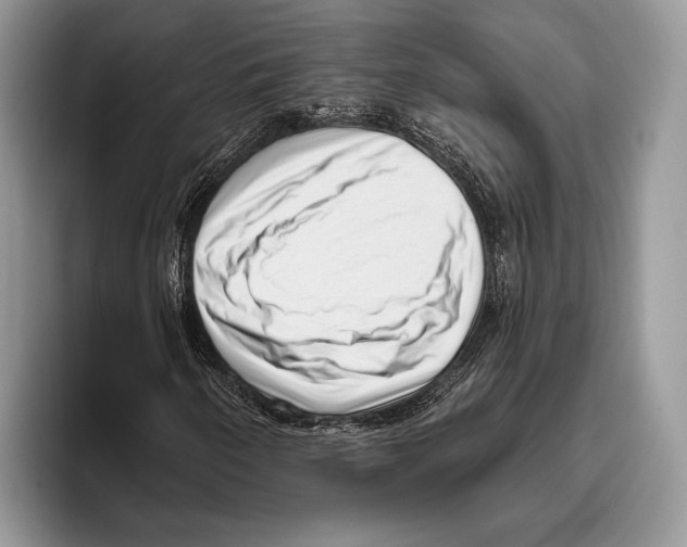 X0000095961250200802081310