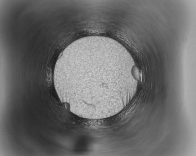 X0000095961251200802081310