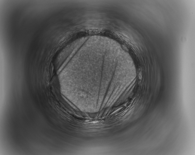 X0000095961252200802081310