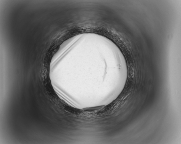 X0000095961253200802081310