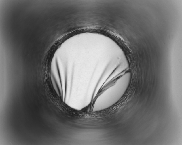 X0000095961255200802081310