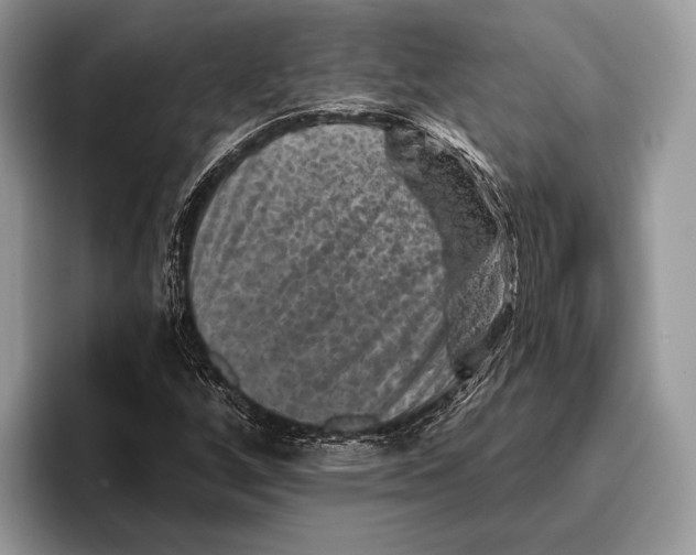 X0000095961256200802081310