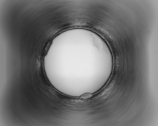 X0000095961257200802081310