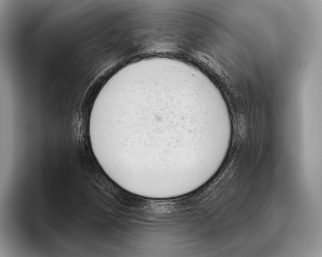 X0000095961258200802081310