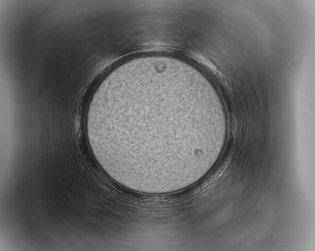 X0000095961259200802081310