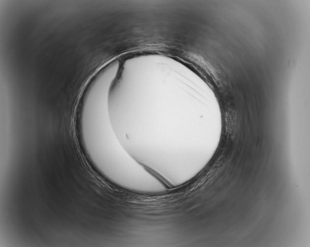 X0000095961260200802081310