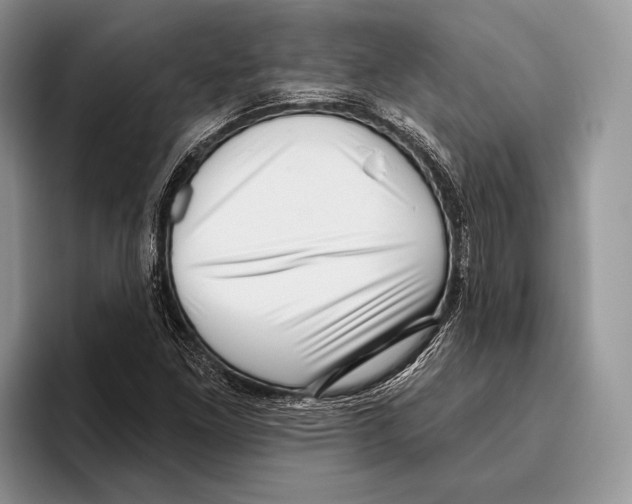 X0000095961261200802081310