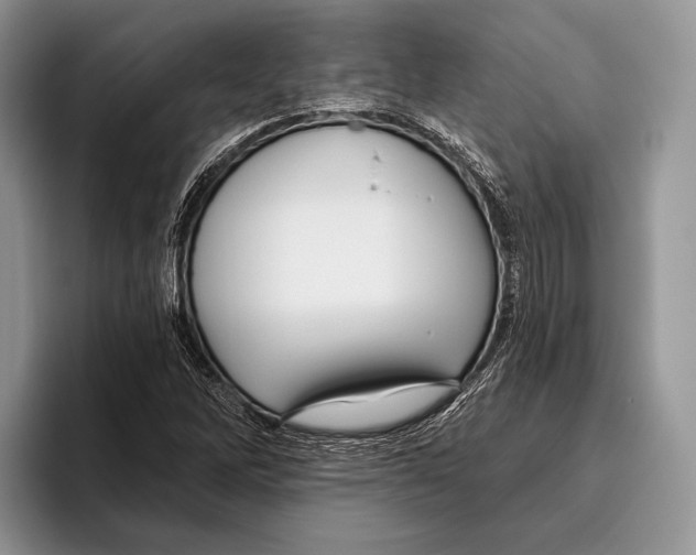 X0000095961262200802081310