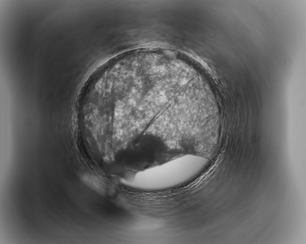 X0000095961263200802081310